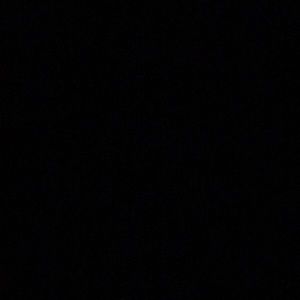 Meet your Posher, Jayla